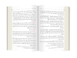 Arabic Dhu'l-Fiqar (Clothbound, Medium Size) - Thumbnail