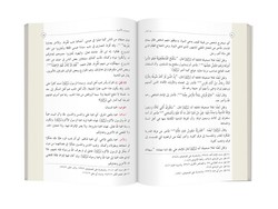 Arabic Dhu'l-Fiqar (Clothbound, Medium Size) - Thumbnail