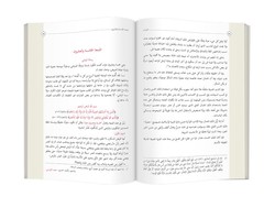 Arabic The Flashes (Clothbound, Medium Size) - Thumbnail