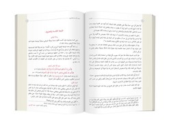 Arabic The Flashes (Clothbound, Medium Size) - Thumbnail