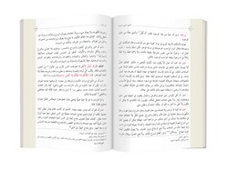 Arabic The Mathnawi Of The Book Of Light (Clothbound, Medium Size) - Thumbnail