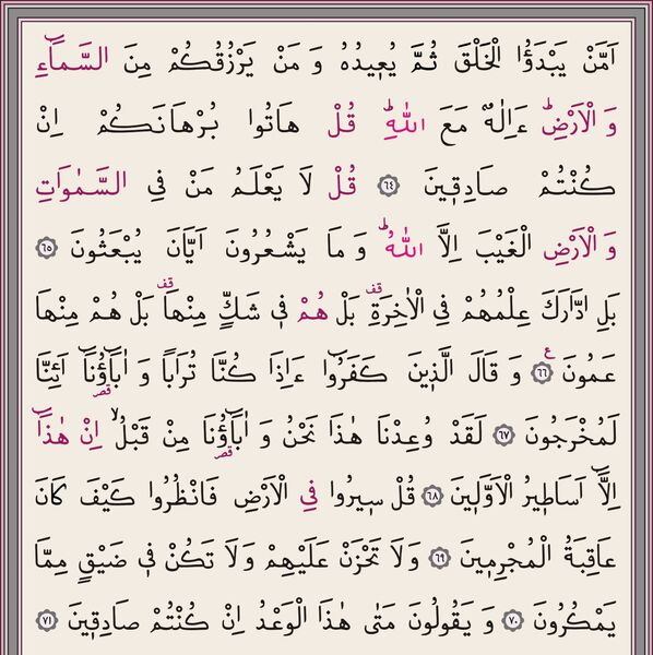 Bag Size Velvet Bound Qur'an Al-Kareem (Pink, Alif - Waw Cover, Gilded, Stamped)