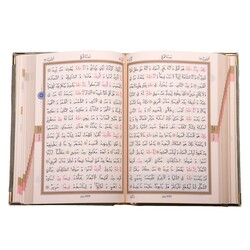 Big Pocket Size Velvet Bound Qur'an Al-Kareem (Mink, Embroidered, Gilded, Stamped) - Thumbnail