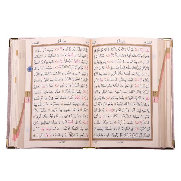 Big Pocket Size Velvet Bound Qur'an Al-Kareem (Powder Pink, Alif-Waw Front Cover, Gilded, Stamped)