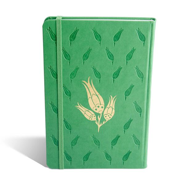 Green Striped Notebook, Hardcover