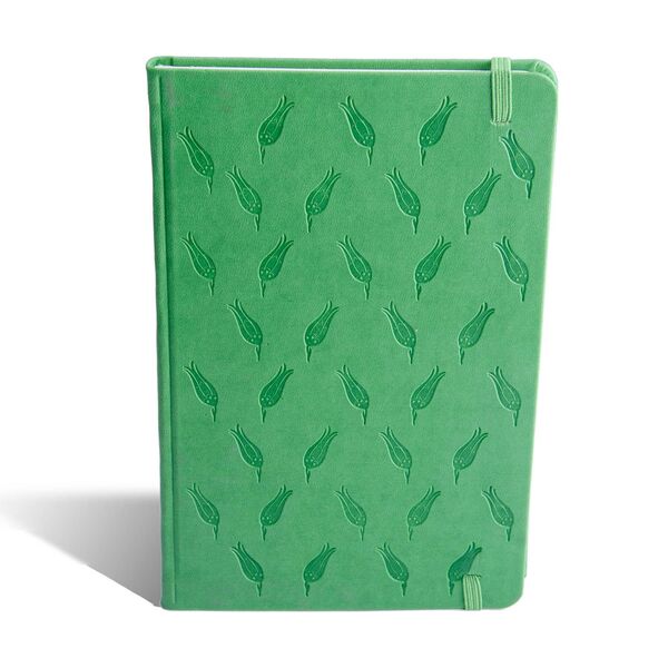 Green Striped Notebook, Hardcover