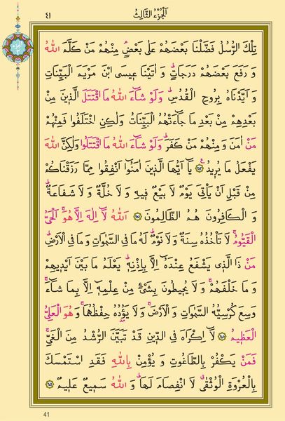 Hafiz Size 30-Juz Qur'an Al-Kareem (Paperback, With Special Box, Stamped)