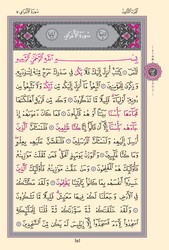 Hafiz Size Rasm al-Uthmani Kuran Al-Kareem (Pink, Stamped) - Thumbnail