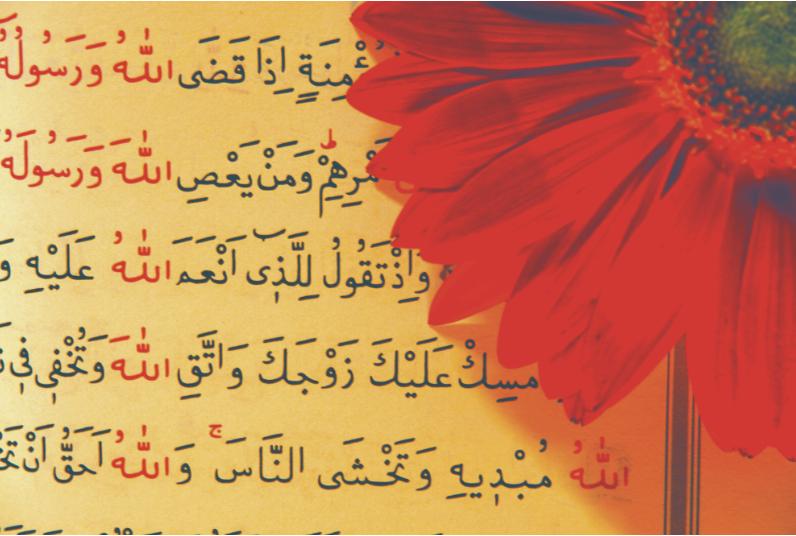 Kur’ân-ı Kerim’de Hat Seçimi: Hangi Baskı Sizin İçin Daha Uygun?