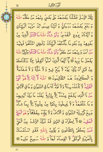 Medium Size Colour Qur'an Al-Kareem (Stamped)