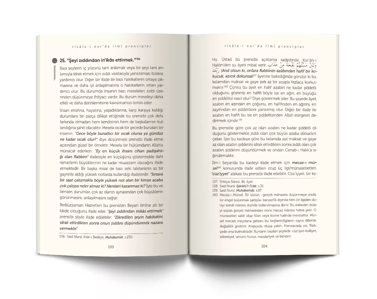 Risale-i Nur'da İlmi Prensipler (Külli Kaideler)