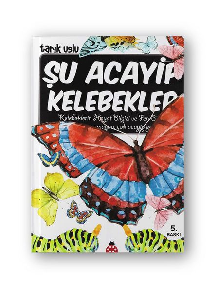 Şu Acayip Kelebekler