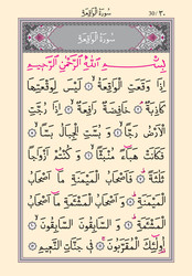 Yasin al-Shareef Juz Pocket Size (Larger Font, Two-Colour, With Index) - Thumbnail